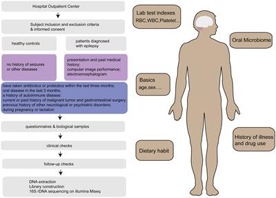 Oral microbiome alterations in epilepsy and after seizure control